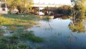 Screenshot_By_ScreenGrabre